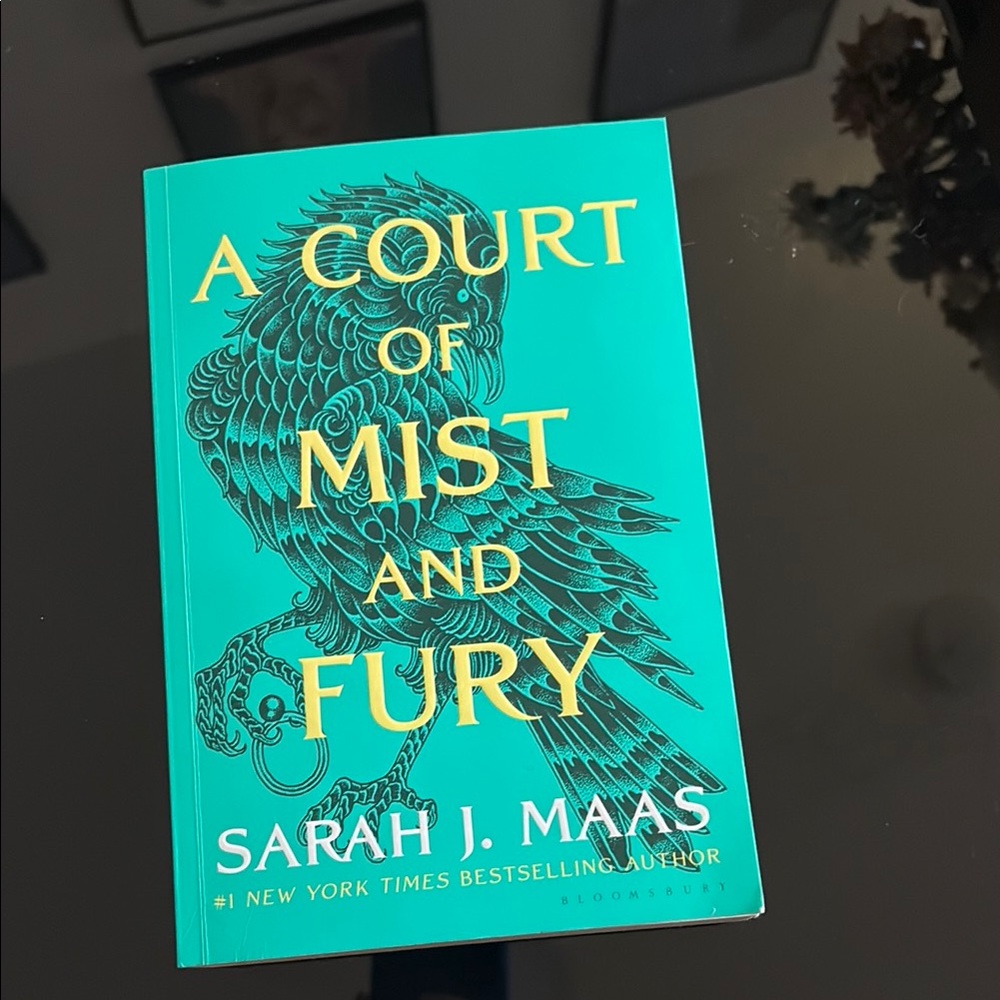 A Court of Mist and Fury Book